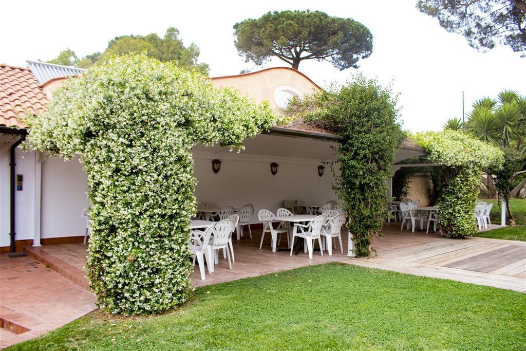 Hotel Mediterraneo 3*